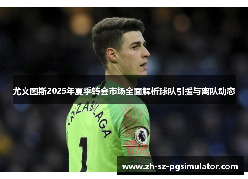 尤文图斯2025年夏季转会市场全面解析球队引援与离队动态