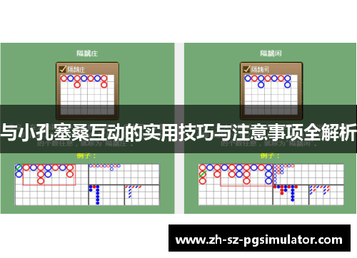 与小孔塞桑互动的实用技巧与注意事项全解析