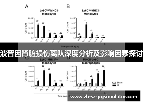 波普因肾脏损伤离队深度分析及影响因素探讨