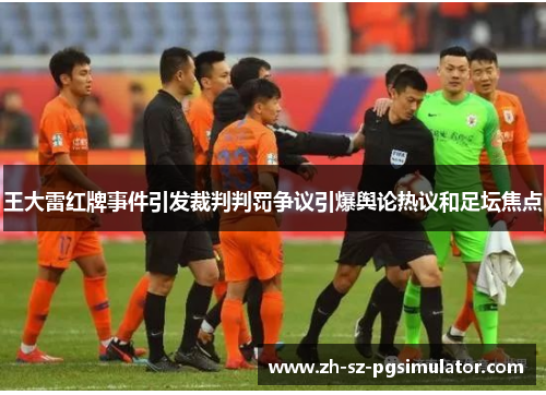 王大雷红牌事件引发裁判判罚争议引爆舆论热议和足坛焦点
