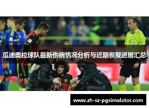 瓜迪奥拉球队最新伤病情况分析与近期恢复进展汇总