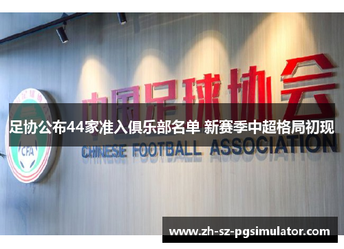 足协公布44家准入俱乐部名单 新赛季中超格局初现