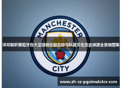 详尽解析葡萄牙各大足球俱乐部名称与队徽文化历史渊源全景指南集