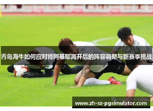 青岛海牛如何应对博阿基耶离开后的阵容调整与新赛季挑战