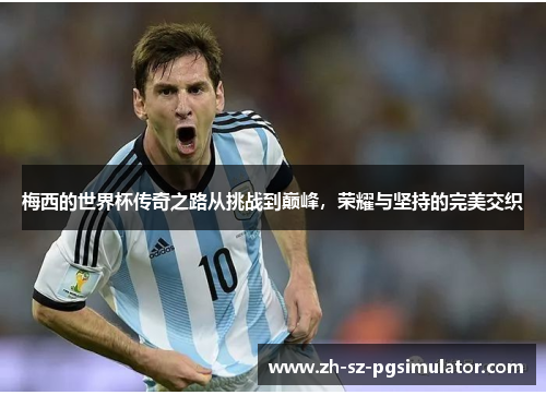 梅西的世界杯传奇之路从挑战到巅峰，荣耀与坚持的完美交织