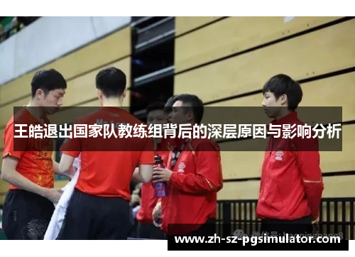 王皓退出国家队教练组背后的深层原因与影响分析